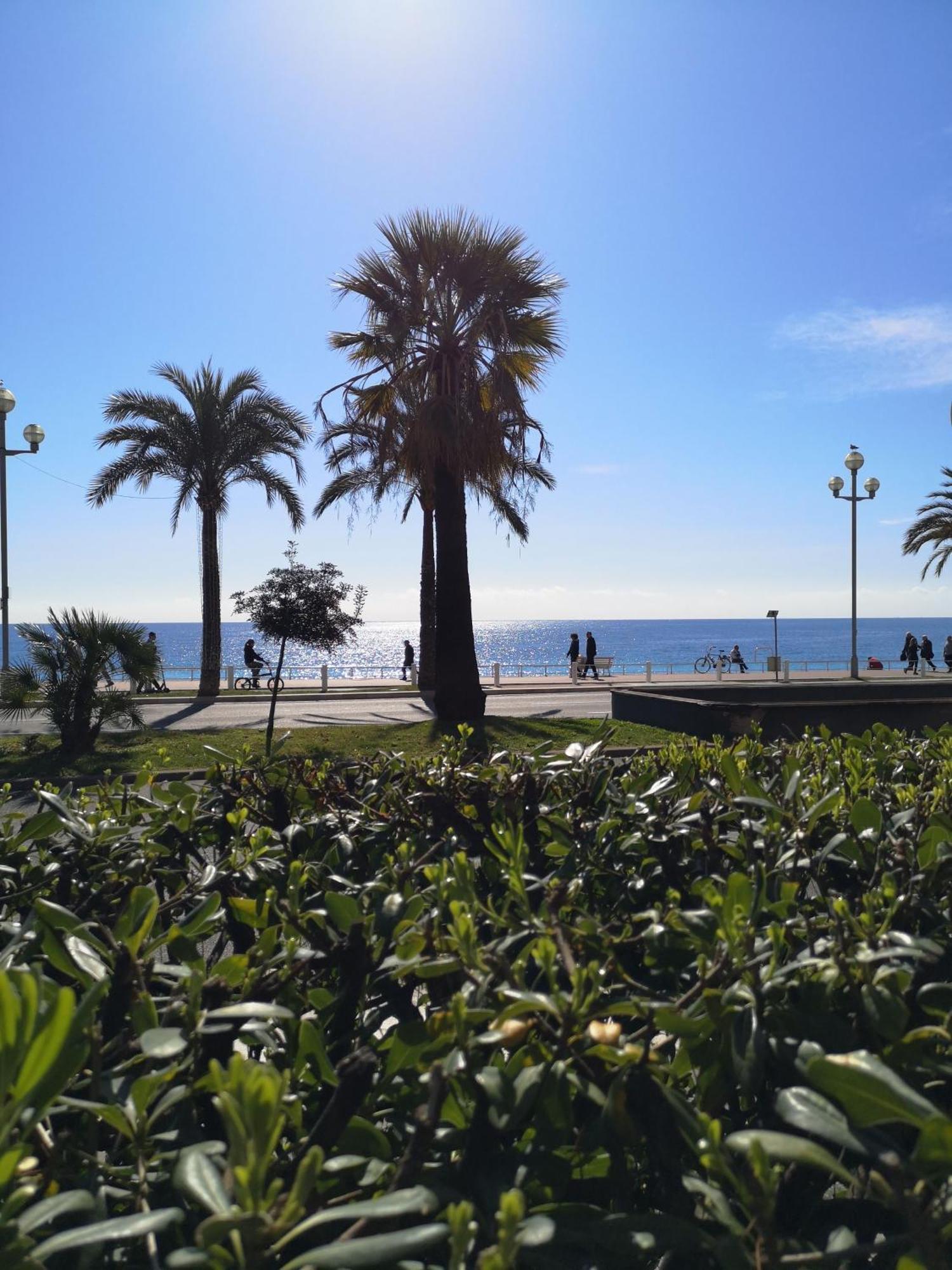 Garden Atlantide Promenade Apartment Nice Exterior photo