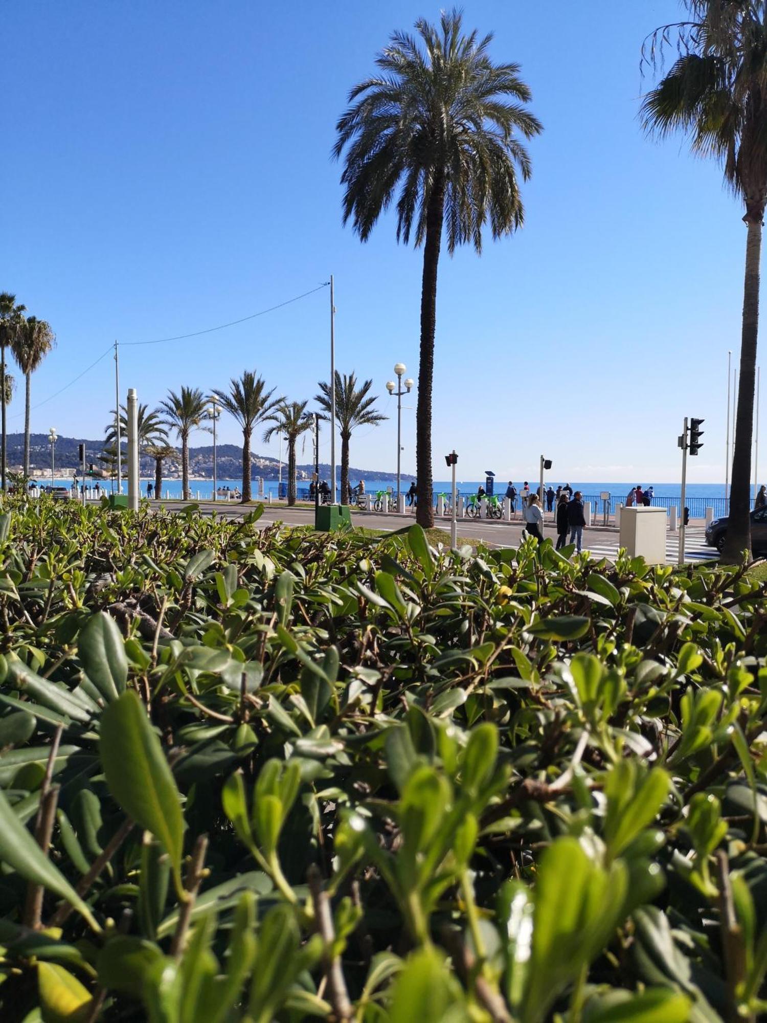 Garden Atlantide Promenade Apartment Nice Exterior photo