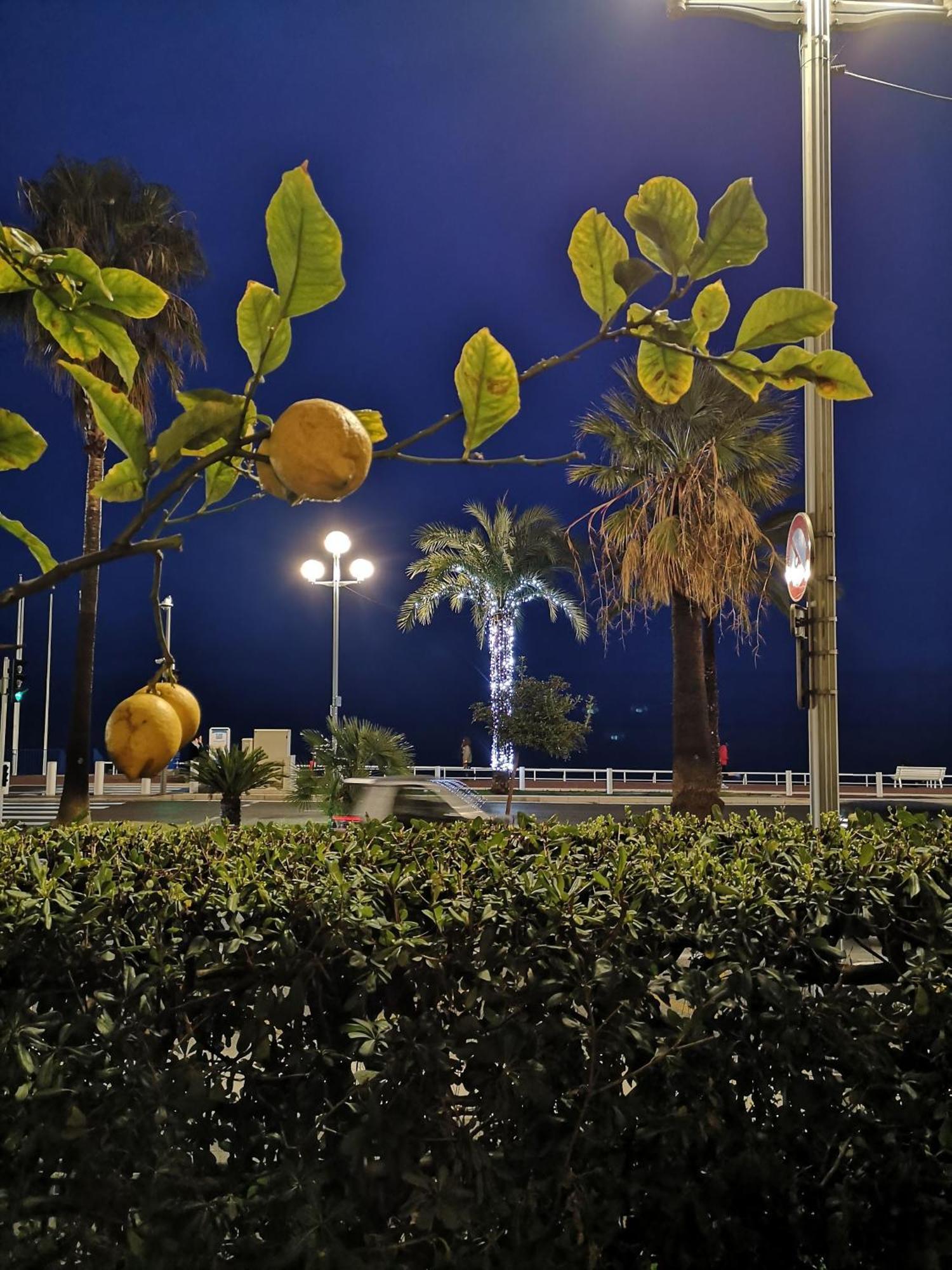 Garden Atlantide Promenade Apartment Nice Exterior photo