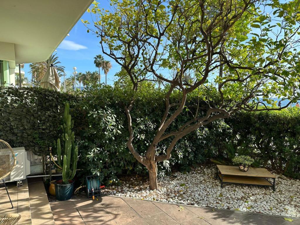 Garden Atlantide Promenade Apartment Nice Exterior photo