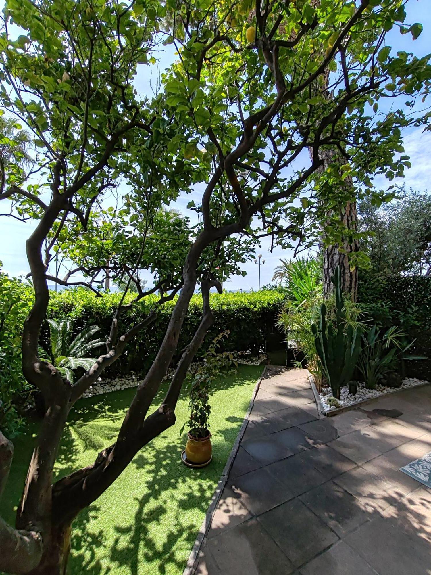 Garden Atlantide Promenade Apartment Nice Exterior photo